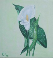 /album/a101-peintures-acryliques/a10-18-dscf3293-arum-petit-nov-2008-jpg/